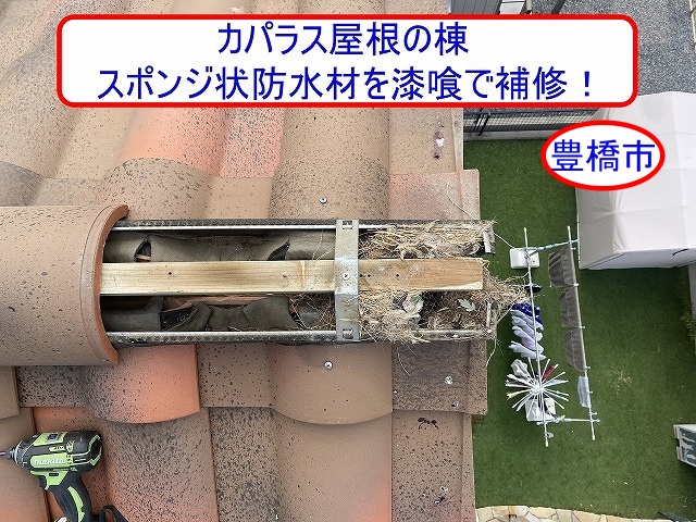 豊橋市でカパラス屋根の棟補修をご提案｜スズメの侵入口となったスポンジ状防水面戸を漆喰で補修！
